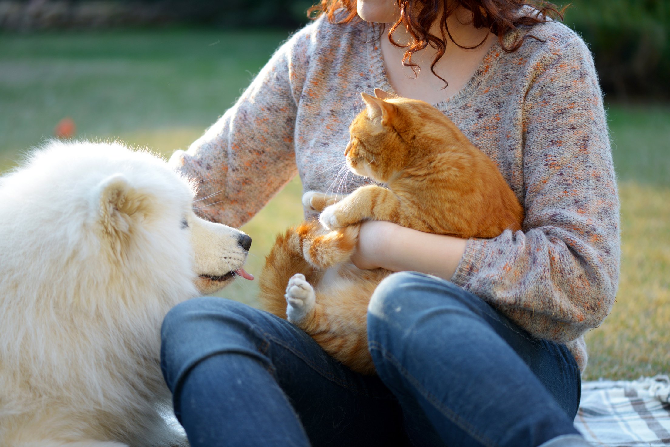 Woman,Dog and Cat ( summer)